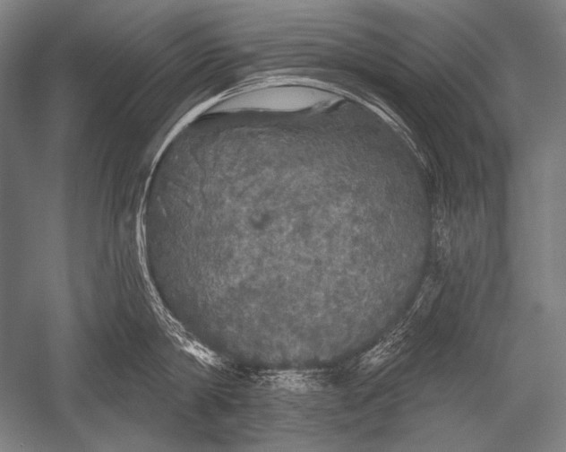 X0000051260814200507082215