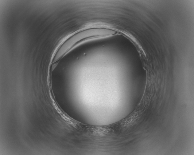 X0000051260815200507082215