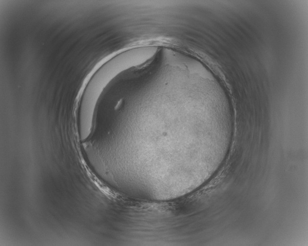 X0000051260816200507082215