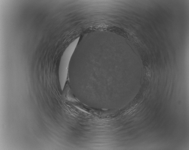 X0000051260818200507082214