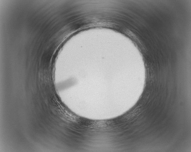 X0000051260828200507082215