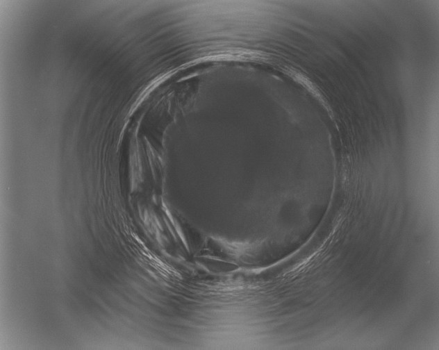 X0000051260829200507082215