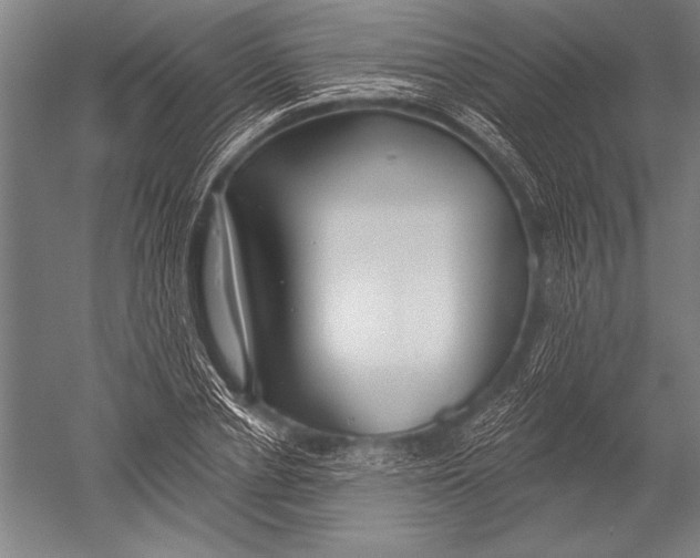 X0000051260834200507082215