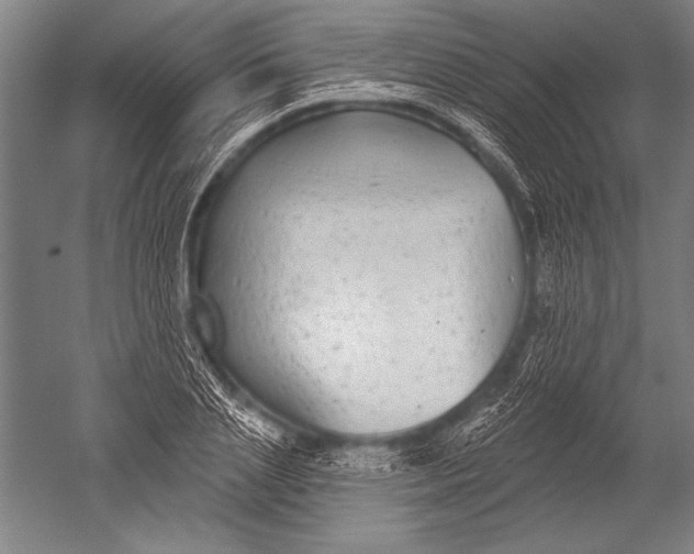 X0000051260837200507082215