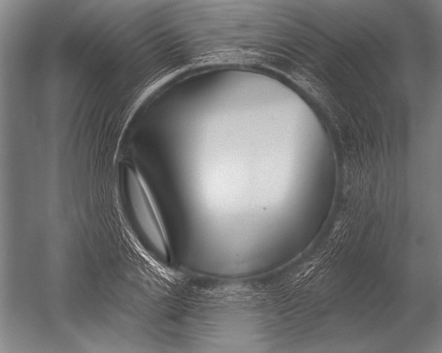 X0000051260838200507082215