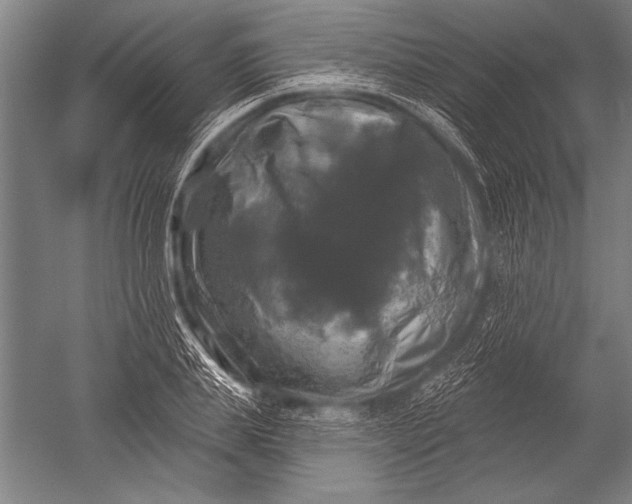 X0000051260839200507082215