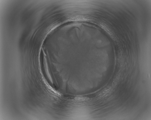 X0000051260840200507082215