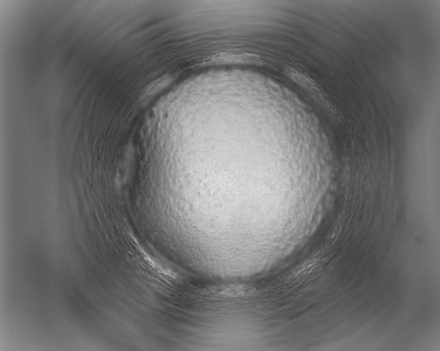 X0000051260841200507082215