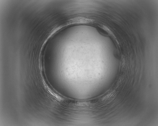 X0000051260843200507082215