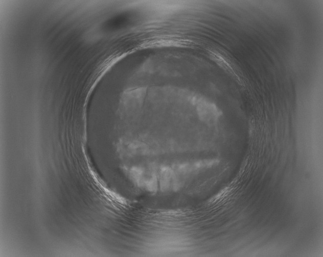 X0000051260844200507082215