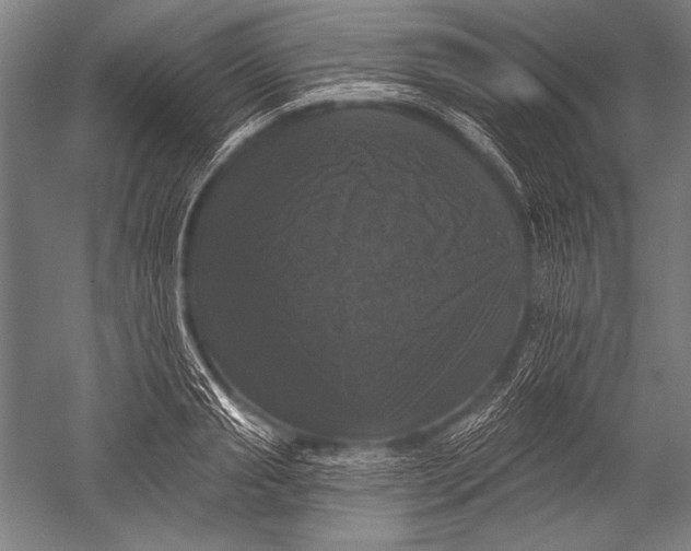 X0000051260845200507082215