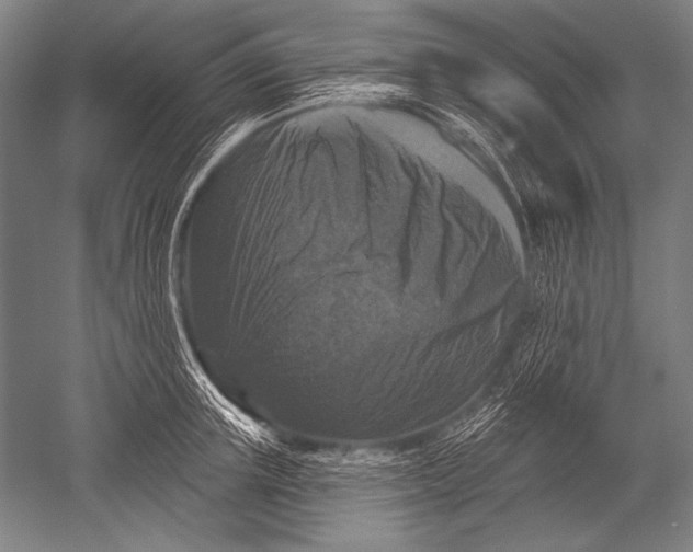 X0000051260851200507082215