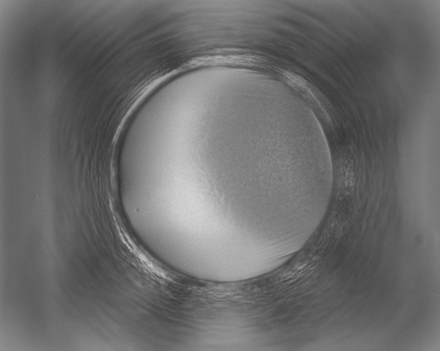 X0000051260852200507082215