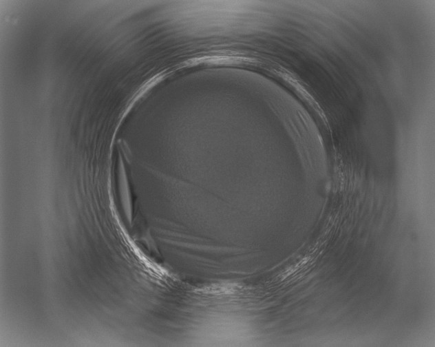 X0000051260853200507082215