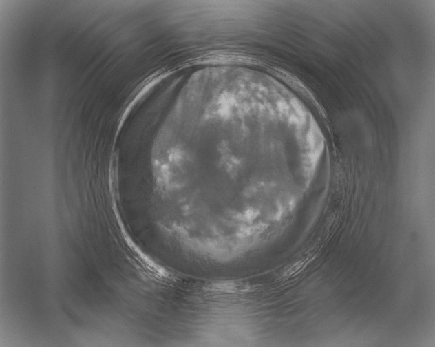 X0000051260855200507082215