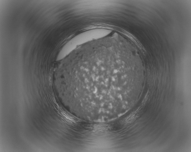 X0000051260857200507082215