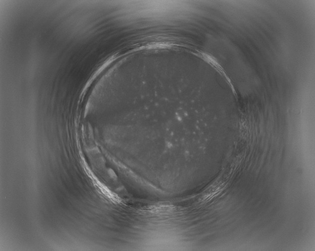 X0000051260859200507082215