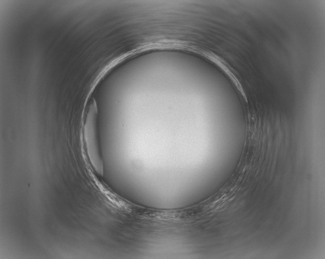 X0000051260861200507082215