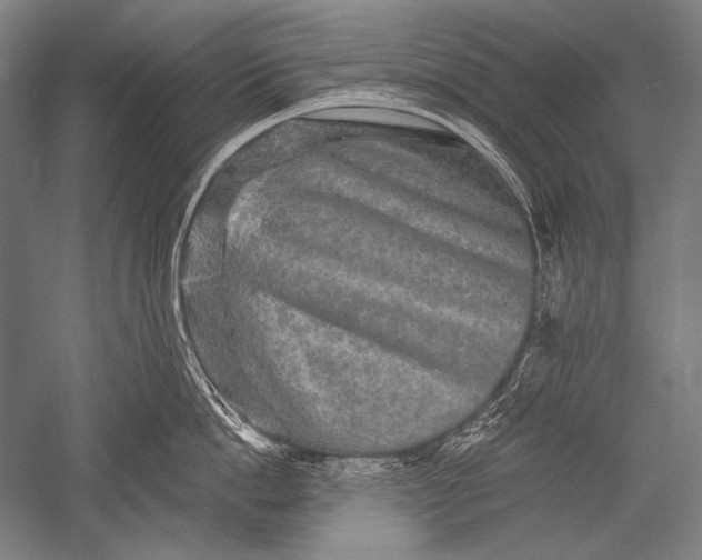 X0000051260862200507082215