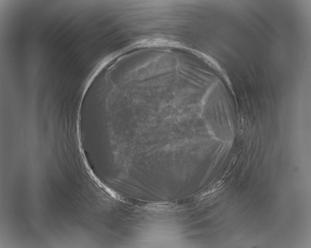 X0000051260863200507082215