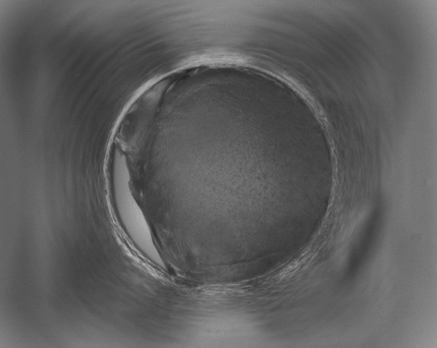 X0000051260864200507082215