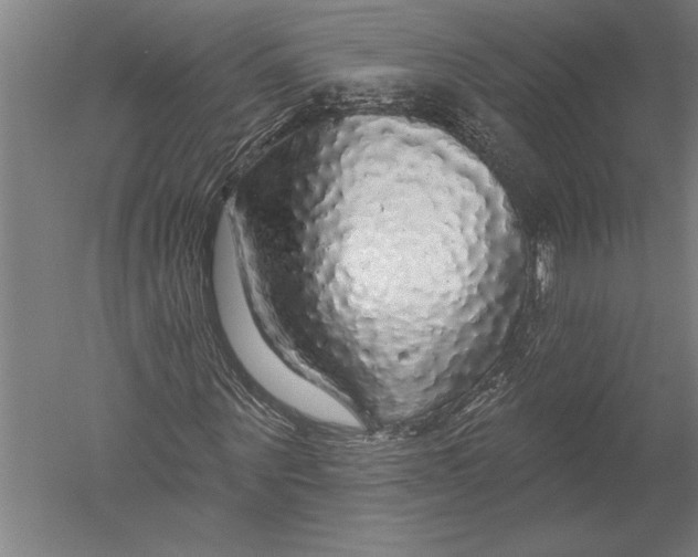 X0000051260867200507082214