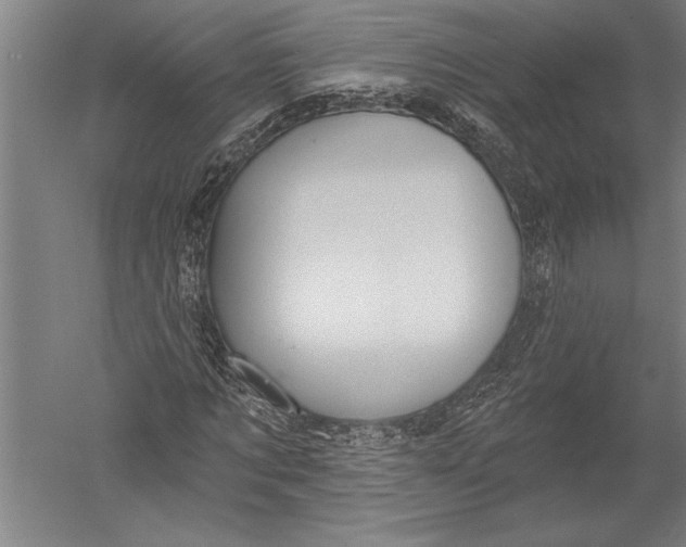 X0000051260869200507082214