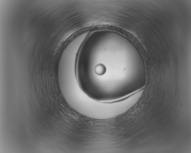 X0000051260871200507082214