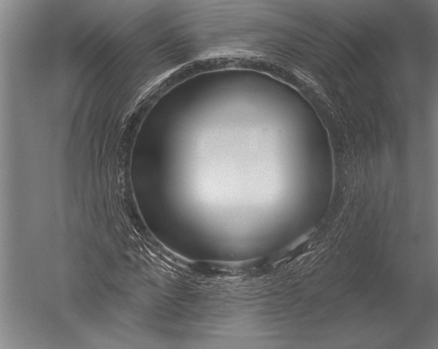 X0000051260872200507082214