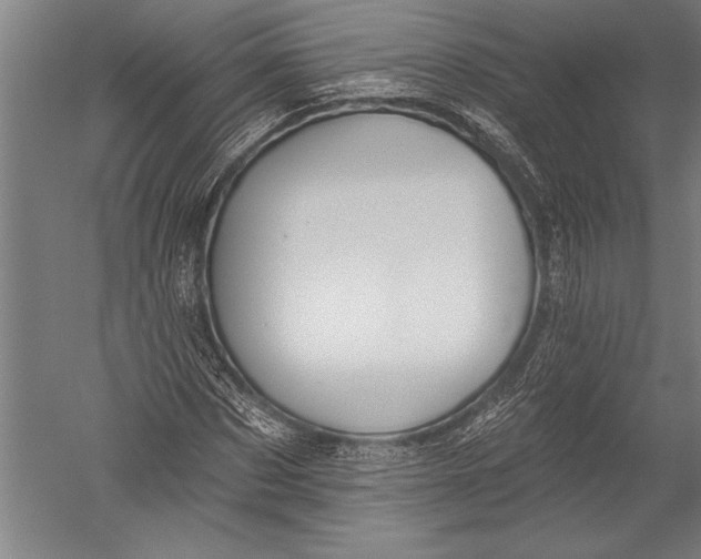 X0000051260873200507082214