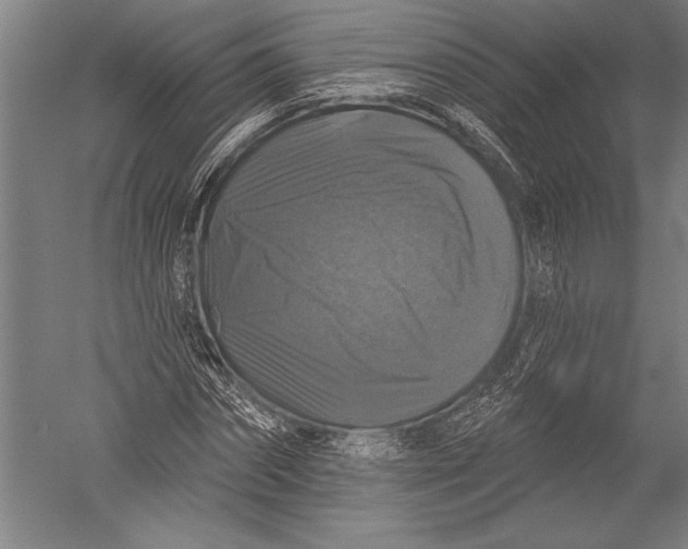 X0000051260874200507082214