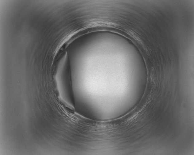 X0000051260877200507082214
