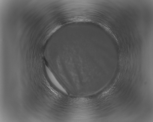 X0000051260881200507082214