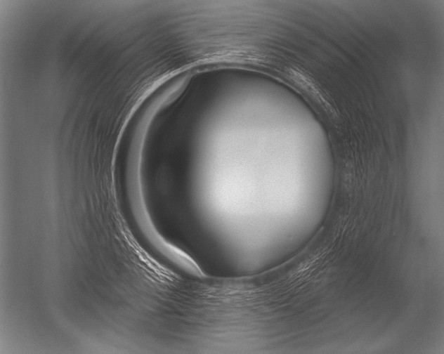 X0000051260884200507082214