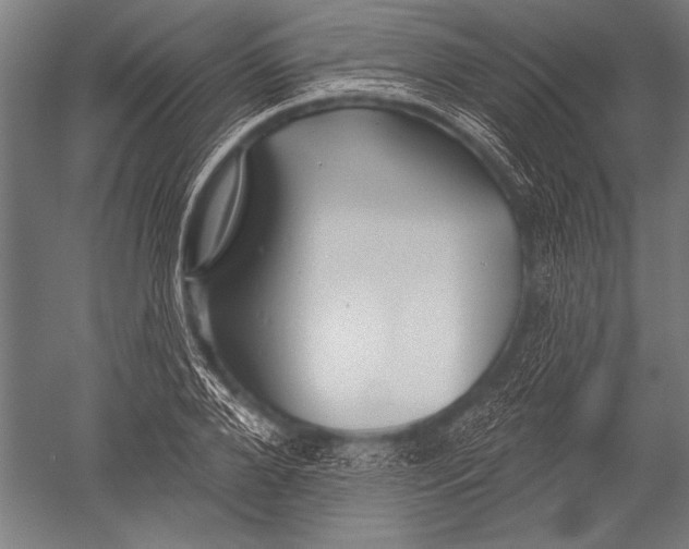 X0000051260888200507082214