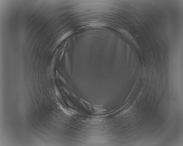 X0000051260889200507082214