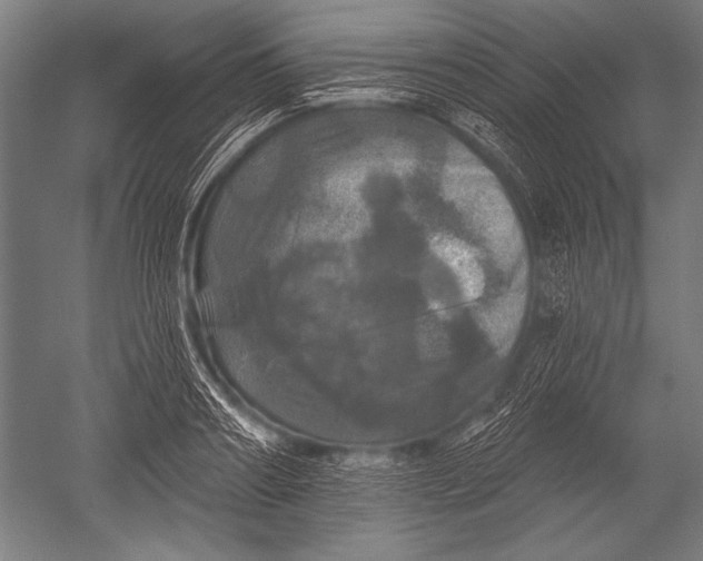 X0000051260890200507082214
