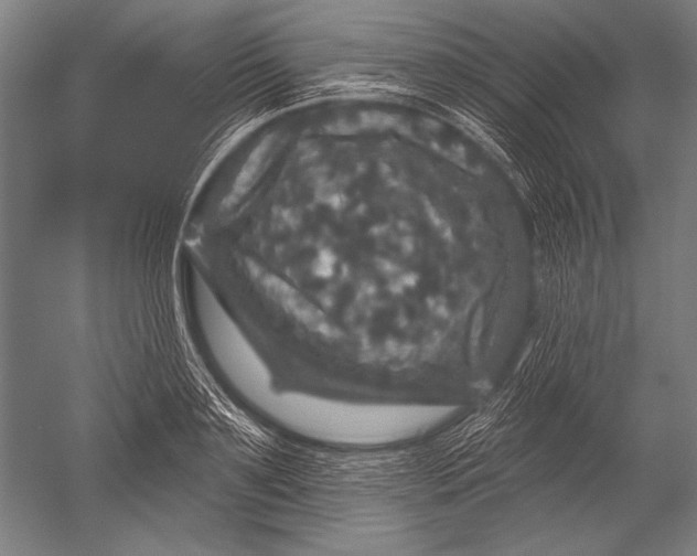 X0000051260891200507082214