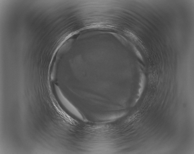 X0000051260892200507082214
