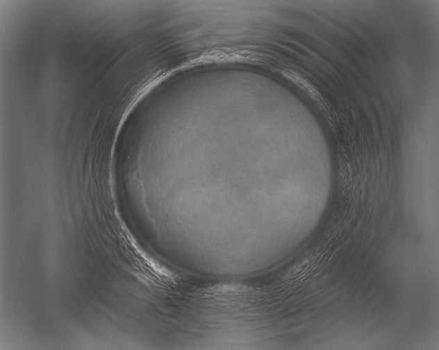X0000051260894200507082214
