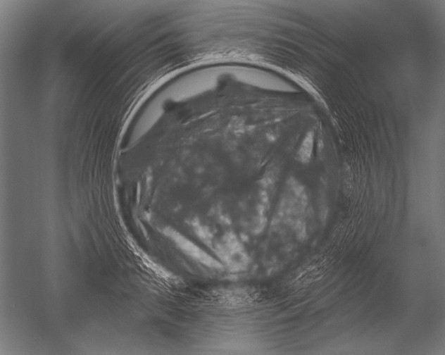 X0000051260895200507082214