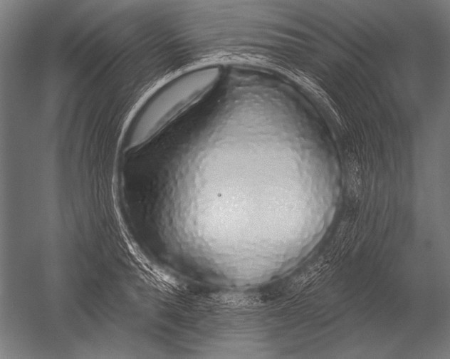 X0000051260896200507082214