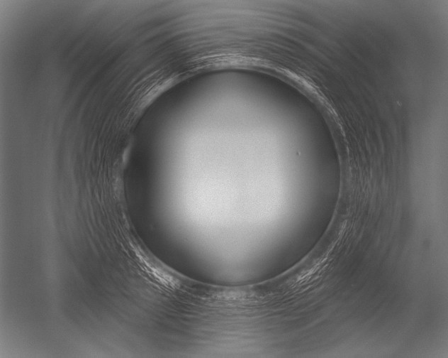 X0000051260897200507082214