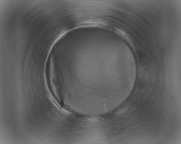 X0000051260899200507082214