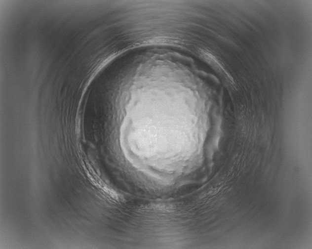 X0000051260900200507082214