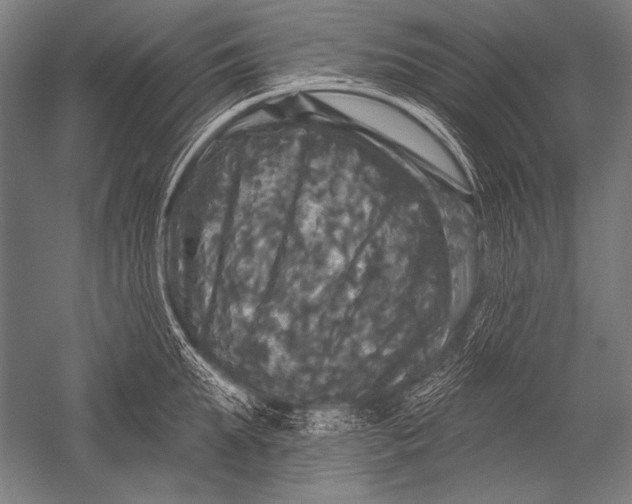X0000051260903200507082214