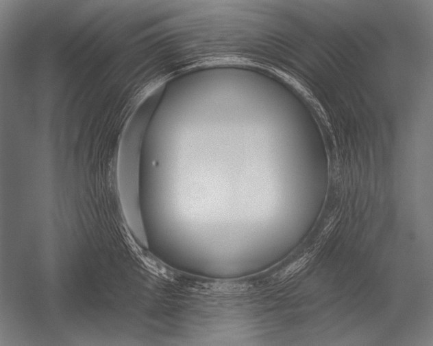 X0000051260905200507082214