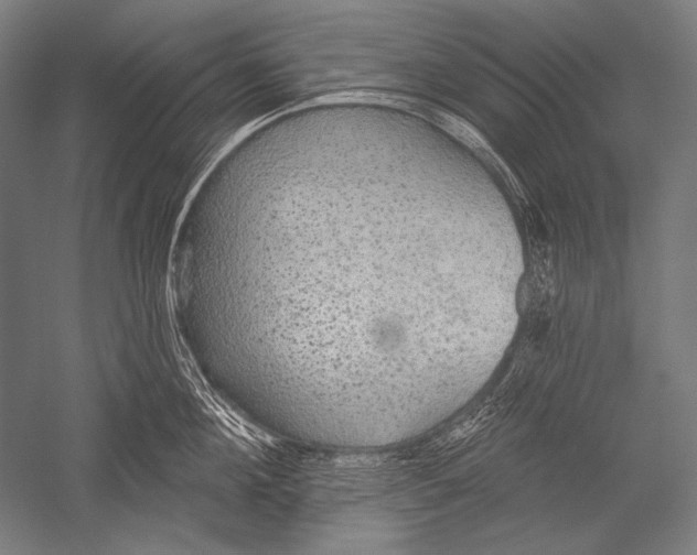 X0000051260908200507082214