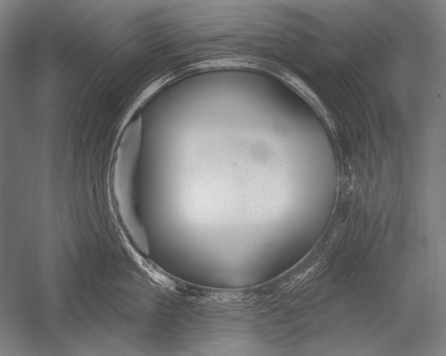 X0000051260909200507082214
