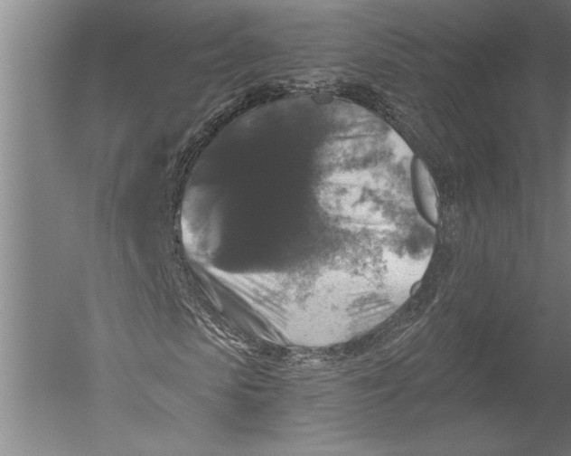 X0000051260913200507082213